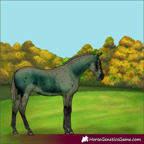 Horse Color:ERROR: UNKNOWN ANOMALY