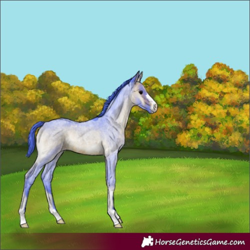 Horse Color:Watercolor Chocolate Brown Roan Onyx