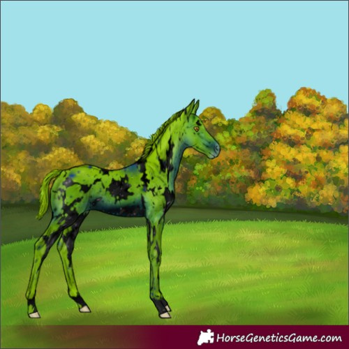 Horse Color:ERROR: UNKNOWN ANOMALY