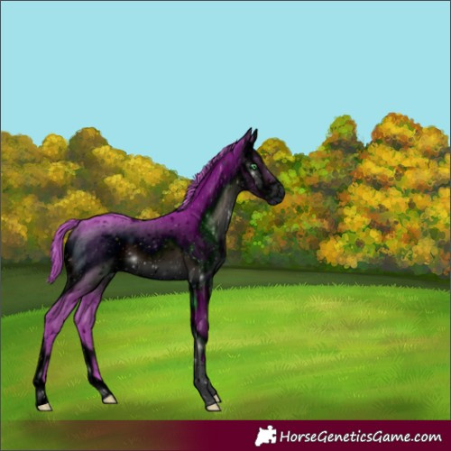 Horse Color:ERROR: UNKNOWN ANOMALY