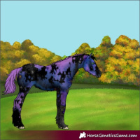 Horse Color:ERROR: UNKNOWN ANOMALY