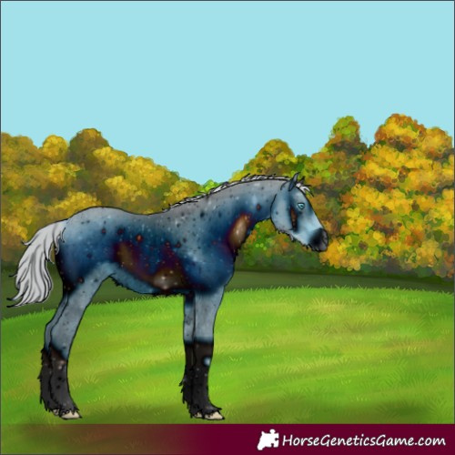 Horse Color:ERROR: UNKNOWN ANOMALY