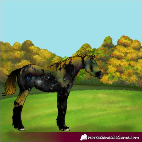Horse Color:ERROR: UNKNOWN ANOMALY