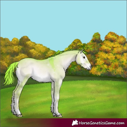 Horse Color:Watercolor Liver Red Dun Onyx Rabicano