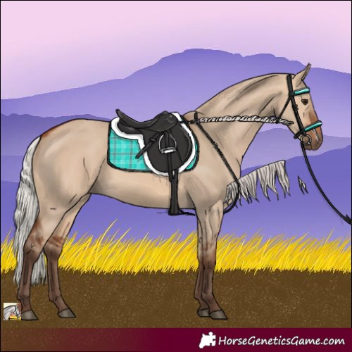 Horse Color:Silver Bay Dun 