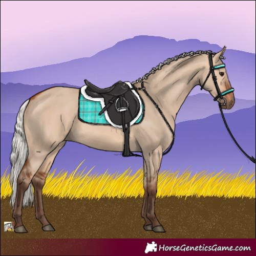 Horse Color:Silver Bay Dun 