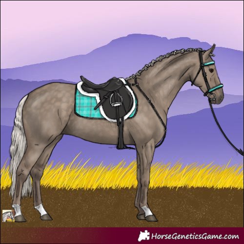 Horse Color:Silver Grullo