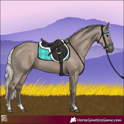 Horse Color:Silver Grullo 