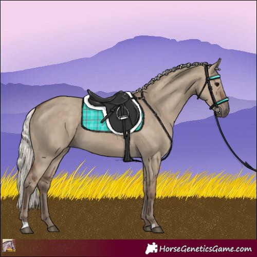 Horse Color:Silver Grullo 