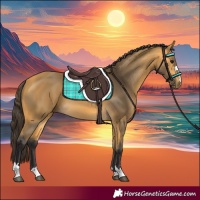 Horse Color:Buckskin 