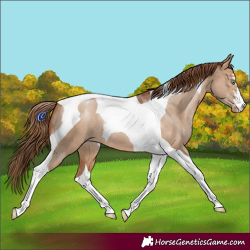 Horse Color:Brown Pearl Dun Tobiano 