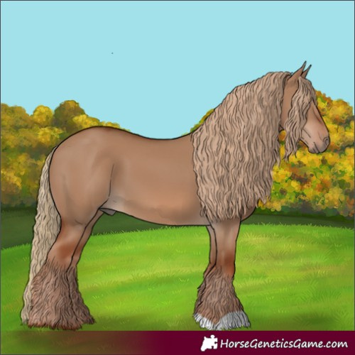Horse Color:Red Dun