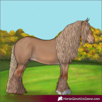 Horse Color:Red Dun 