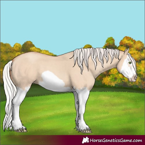 Horse Color:Silver Classic Champagne Dun Splash Frame