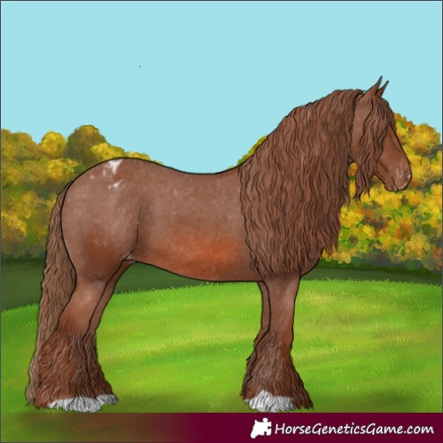 Horse Color:Chestnut Varnish 