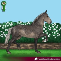 Horse Color:Silver Smoky Black Rabicano 