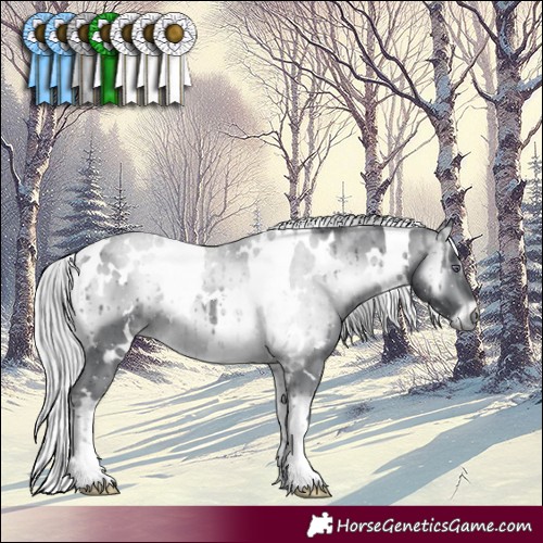 Horse Color:White Spotted Silver Brown Chinchilla Onyx 