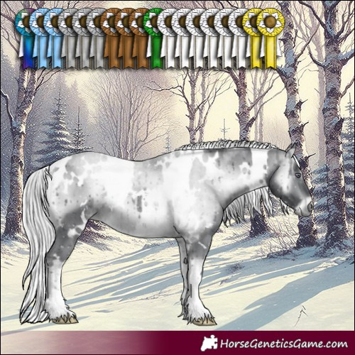 Horse Color:White Spotted Silver Brown Chinchilla Onyx 