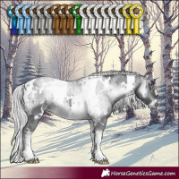 Horse Color:White Spotted Silver Brown Chinchilla Onyx