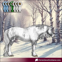 Horse Color:White Spotted Silver Brown Chinchilla Onyx 