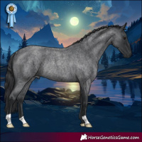 Horse Color:Blue Roan Rabicano