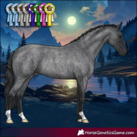 Horse Color:Blue Roan Rabicano 