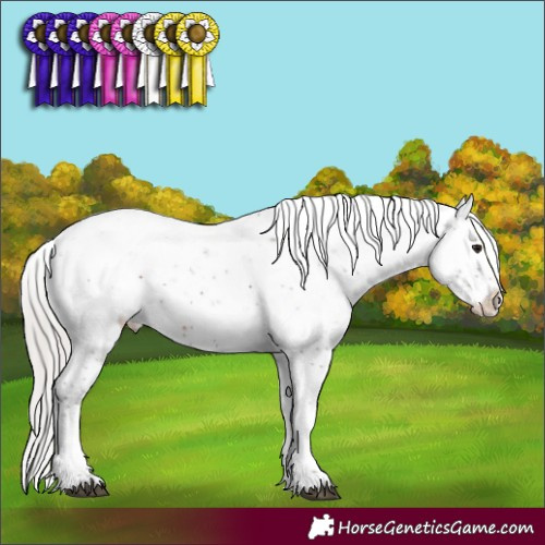 Horse Color:Silver Brown Sabino Appaloosa 