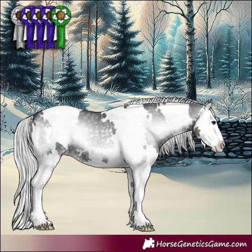 Horse Color:White Spotted Silver Blue Onyx Chinchilla Splash 