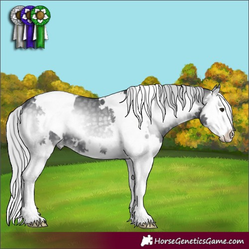 Horse Color:White Spotted Silver Blue Onyx Chinchilla Splash 