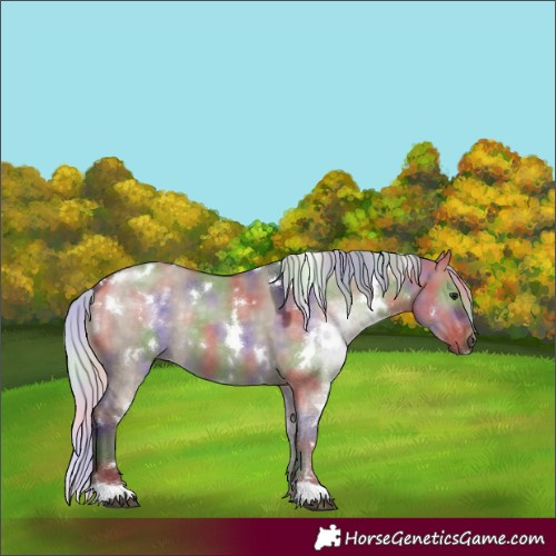Horse Color:Nacre White Spotted Silver Brown Dun 