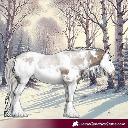 Horse Color:White Spotted Silver Brown Dun Sabino Splash 