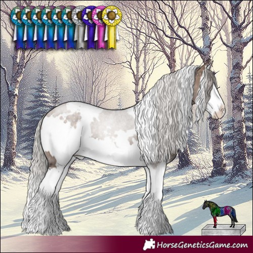 Horse Color:White Spotted Silver Brown Dun Sabino Splash 