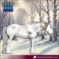 Horse Color:White Spotted Silver Brown Dun Sabino Splash
