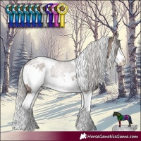 Horse Color:White Spotted Silver Brown Dun Sabino Splash 