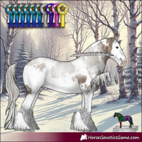 Horse Color:White Spotted Silver Brown Dun Sabino Splash 