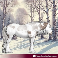 Horse Color:White Spotted Silver Brown Dun Sabino Splash 