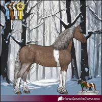 Horse Color:Silver Brown Dun Tobiano