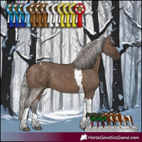 Horse Color:Silver Brown Dun Tobiano