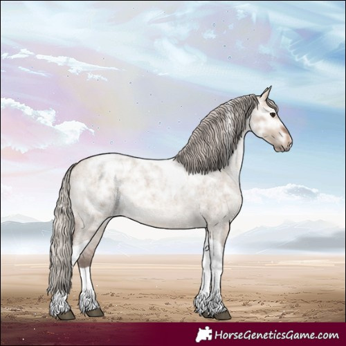 Horse Color:Silver Brown Ice Roan Dun Tobiano 