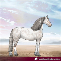 Horse Color:Silver Brown Ice Roan Dun Tobiano 