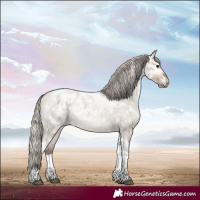 Horse Color:Silver Brown Ice Roan Dun Tobiano 