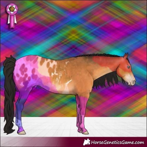Horse Color:Gray Sable Cream Champagne Tobiano Appaloosa 