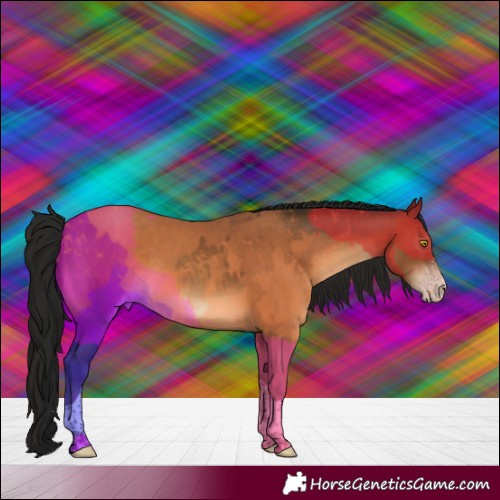 Horse Color:Gray Sable Champagne Sabino Tobiano Rabicano 