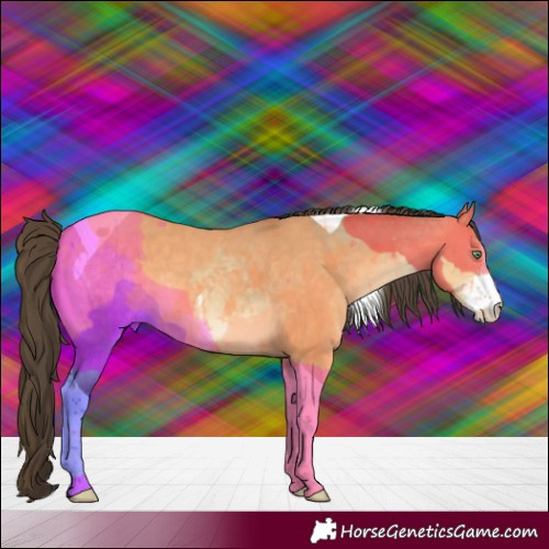 Horse Color:Sable Cream Champagne Dun Sabino Tobiano Rabicano 