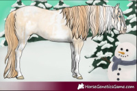 Horse Color:White Spotted Buckskin Pearl Dun Rabicano and White Spotted Buckskin Pearl Dun Rabicano