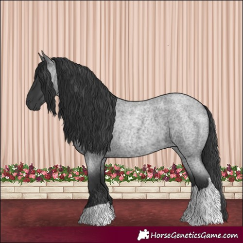 Horse Color:Blue Roan Tobiano 