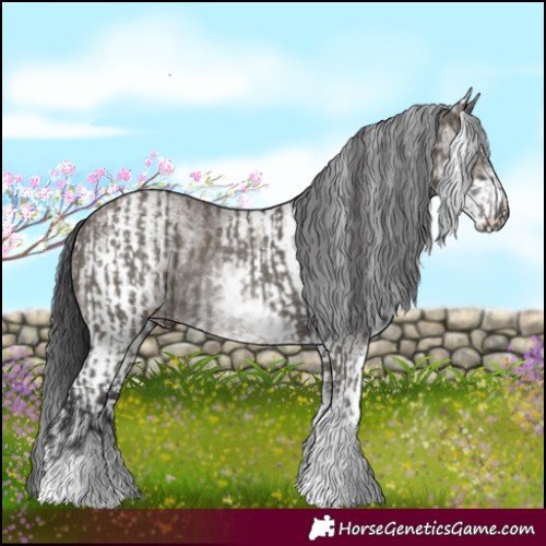 Horse Color:White Spotted Grullo Rabicano and White Spotted Smoky Grullo Rabicano