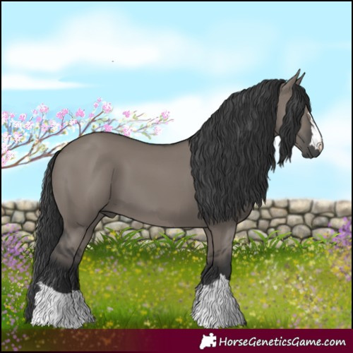 Horse Color:Grullo
