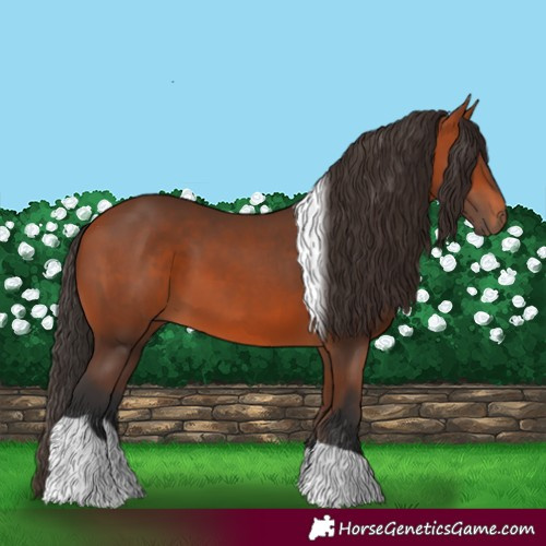 Horse Color:Bay Tobiano 