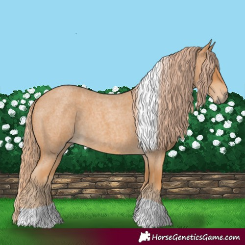 Horse Color:Red Roan Tobiano 